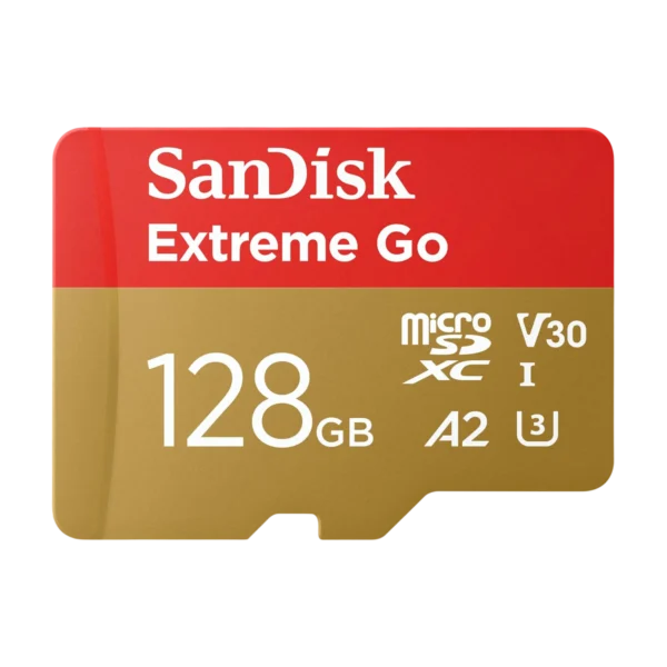 Carte microSD 128GB SanDisk Extreme Go