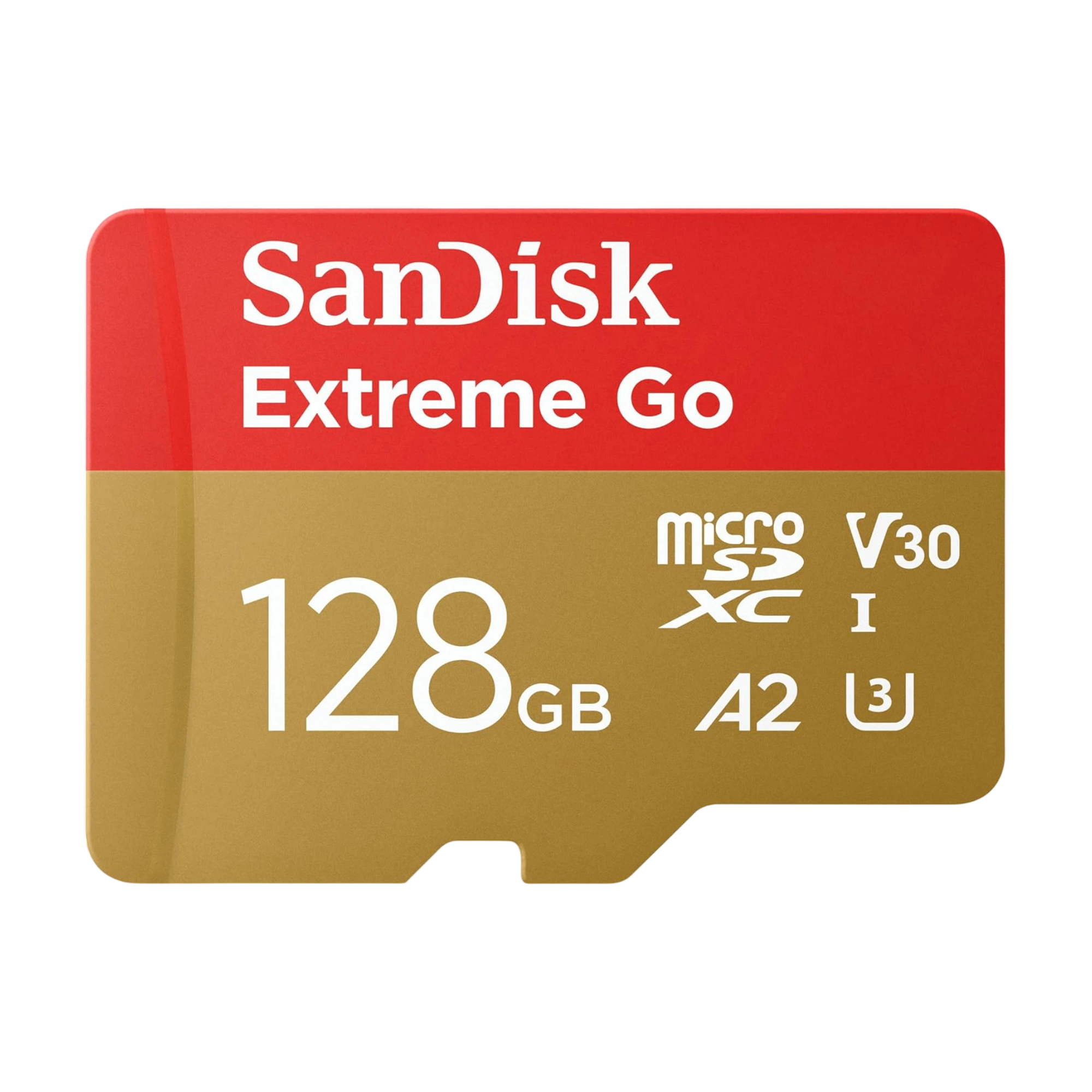 Carte microSD 128GB SanDisk Extreme Go